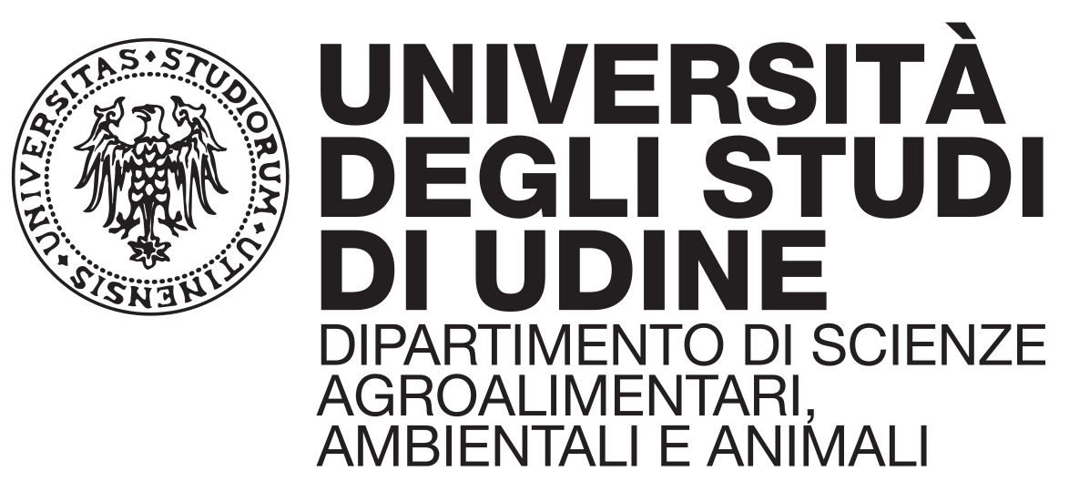 logo Università di Udine